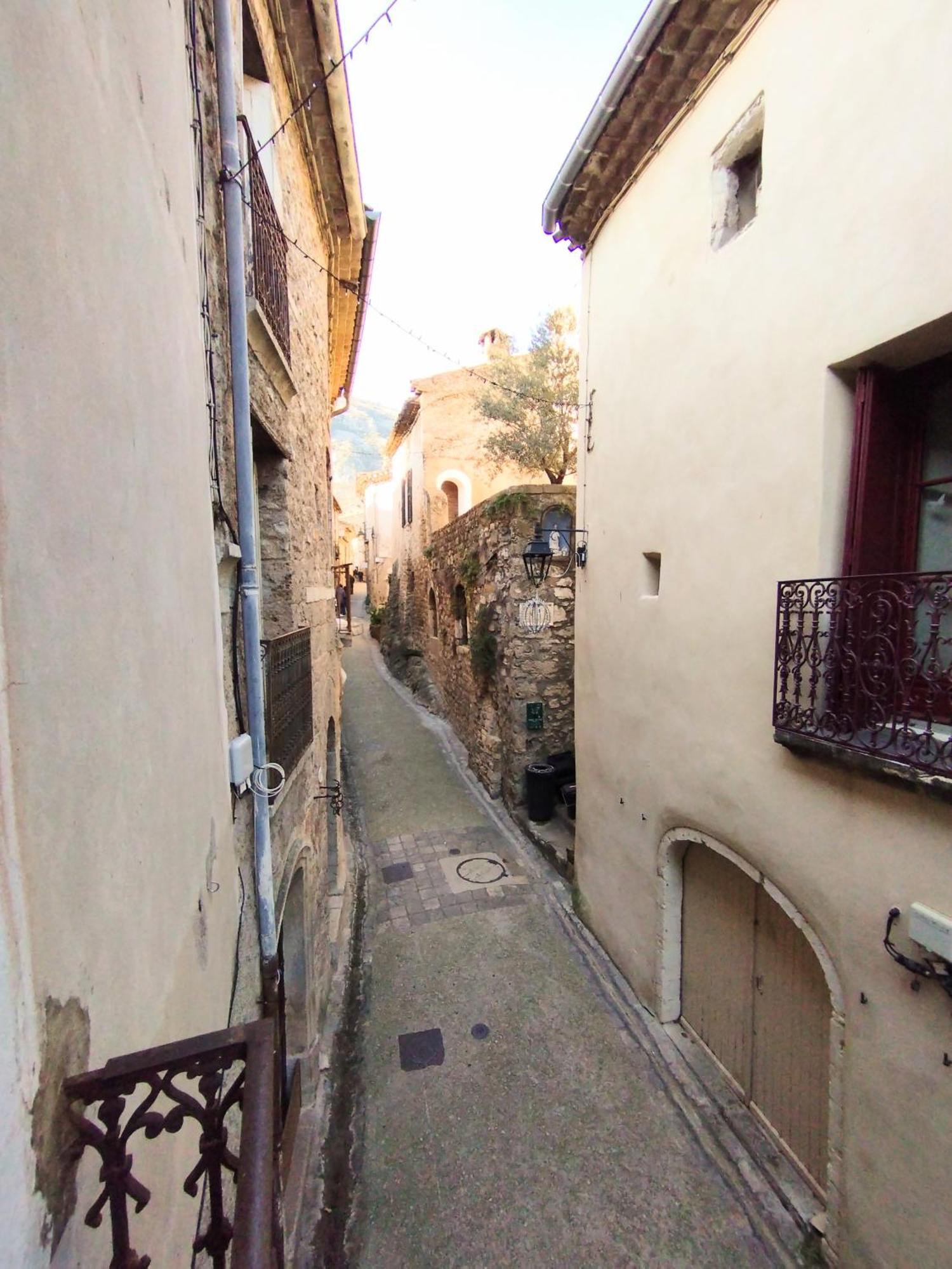 סן-גיים-לה-דזר Les Studios De St Guilhem מראה חיצוני תמונה